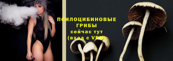молекула духа Алексеевка