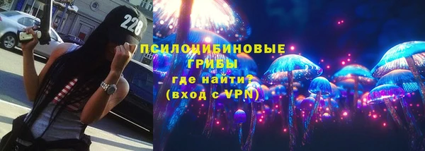 бошки Алексин